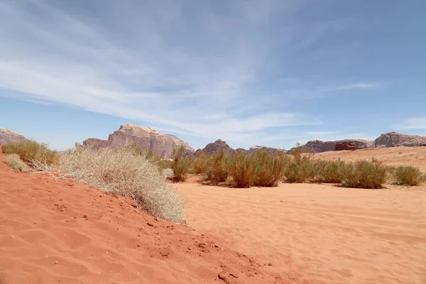 Wadi Rum woestijn ook bekend als de vallei van de maan is een vallei in de zandsteen en graniet rots in zuidelijke Jordan gesneden — Stockfoto