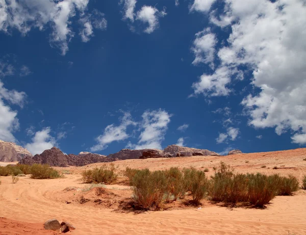 Wadi rum desert znany również jako dolinie Księżyca jest Dolina pokroić w skale piaskowca i granitu w południowej Jordanii, 60 km na wschód od Akaby — Zdjęcie stockowe