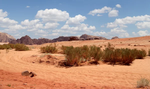 Wadi Rum Desert também conhecido como O Vale da Lua é um vale cortado na rocha de arenito e granito no sul da Jordânia 60 km a leste de Aqaba — Fotografia de Stock