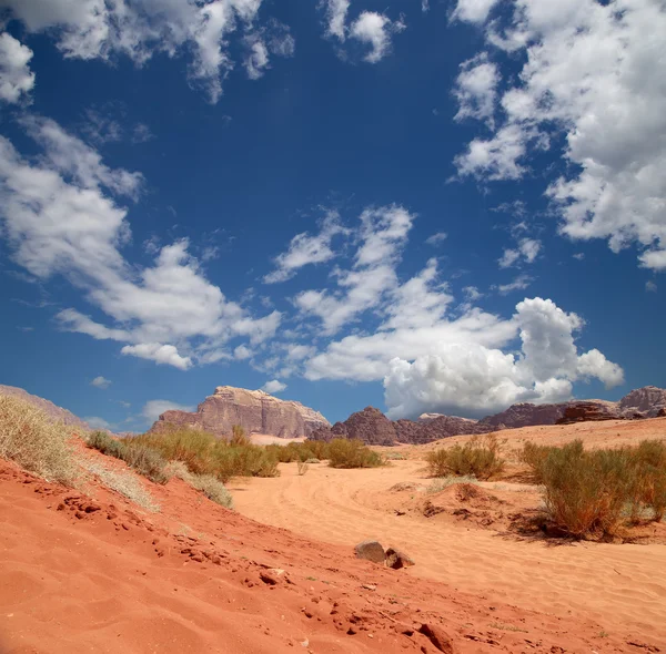 Wadi Rum Desert también conocido como El Valle de la Luna es un valle cortado en la piedra arenisca y roca de granito en el sur de Jordania 60 km al este de Aqaba — Foto de Stock