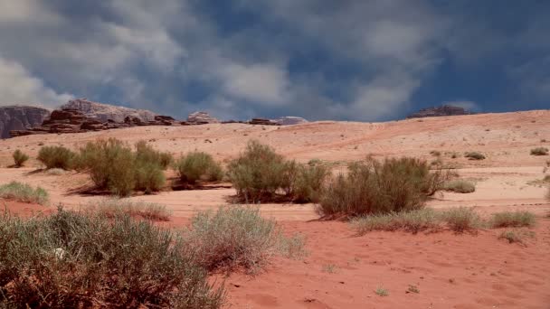 A(z) Wadi Rum Desert, Jordan, Közel-Kelet — Stock videók