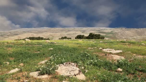 Pouštní horské krajiny, Jordan, Střední východ — Stock video