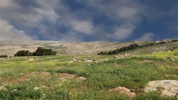 Paisaje de montaña del desierto, Jordania, Oriente Medio — Vídeos de Stock