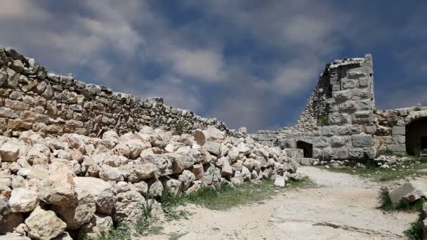 Ayyubid slottet Ajloun i norra Jordan, byggd på 1100-talet, Mellanöstern — Stockvideo