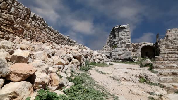 O castelo ayyubid de Ajloun no norte da Jordânia, construído no século XII, Oriente Médio — Vídeo de Stock