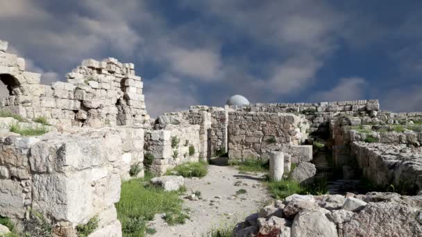 Amman atrakcji--stary rzymski Cytadeli hill, jordan — Wideo stockowe