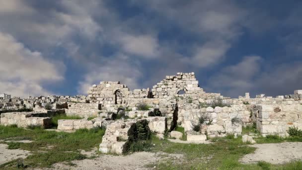 Amman město památek – staré římské citadel hill, Jordánsko — Stock video