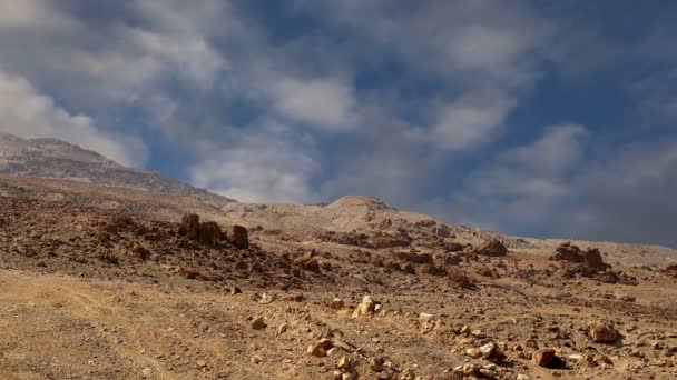 Deserto de pedra (paisagem árida típica), Jordânia, Médio Oriente — Vídeo de Stock