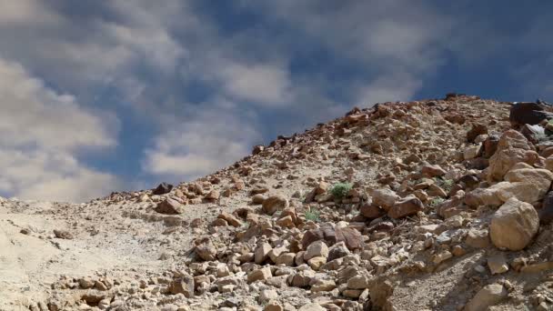 Taş Çölü (tipik kurak manzara), Jordan, Orta Doğu — Stok video