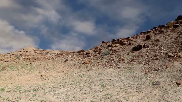 Taş Çölü (tipik kurak manzara), Jordan, Orta Doğu — Stok video