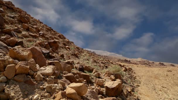 Taş Çölü (tipik kurak manzara), Jordan, Orta Doğu — Stok video