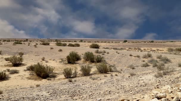 Kősivatag (tipikus száraz táj), Jordánia, Közel-Kelet — Stock videók
