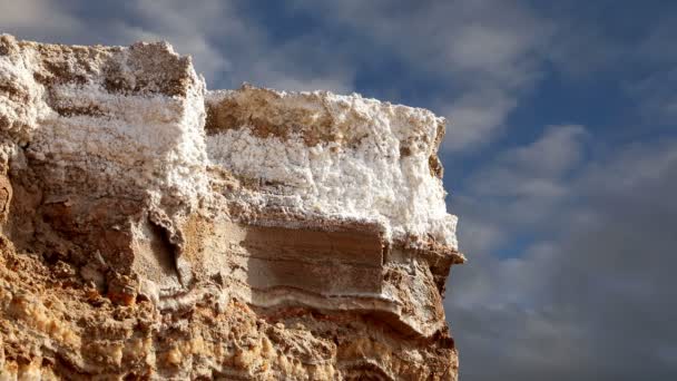 Dead sea salt på Jordan, Mellanöstern — Stockvideo