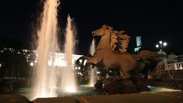 Fontaine avec le groupe sculptural "Four Seasons" (4 chevaux de bronze) à Alexander Gardens-a été l'un des premiers parcs publics urbains à Moscou, en Russie (nuit ) — Video