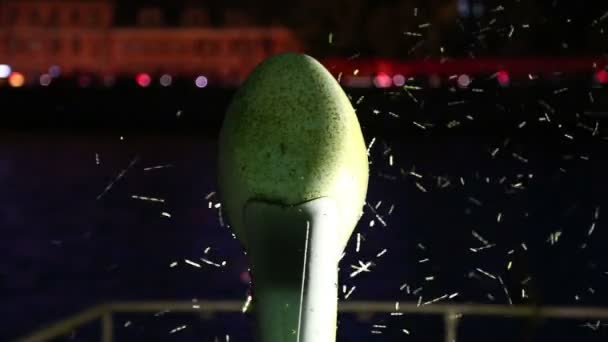 Hmyzem krouží u světlé lucerny (v noci) — Stock video