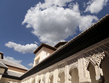 Alhambra Palace - Granada, Andalusia İspanya