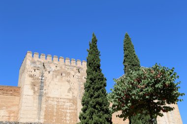Alhambra Palace - Granada, Endülüs, İspanya