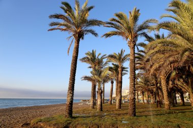 Plaj. Costa del Sol, Endülüs, İspanya Malaga