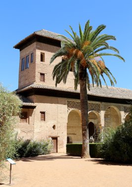 Alhambra Palace - Granada, Endülüs, İspanya