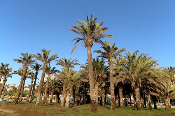 Beach. Costa del Sol, Malaga i Andalusien, Spanien — Stockfoto