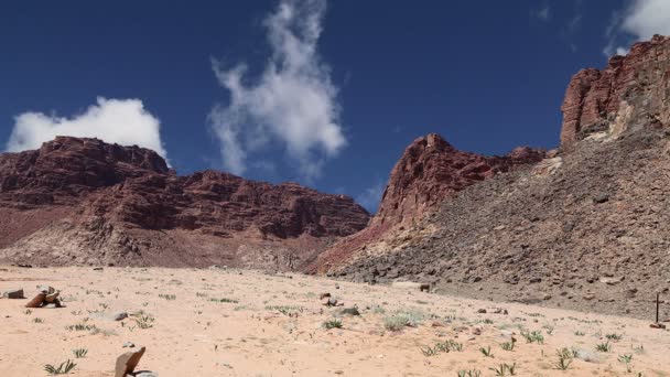 Deserto de Wadi Rum, Jordânia, Médio Oriente — Vídeo de Stock