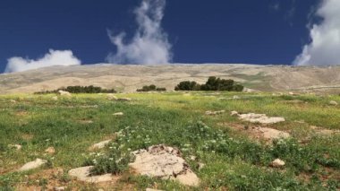 Dağ manzarası, Jordan, Ortadoğu çöl