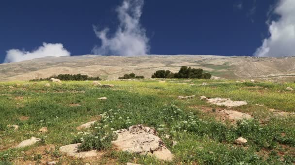 Горный пейзаж пустыни, Иордания, Ближний Восток — стоковое видео