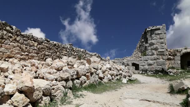 O castelo ayyubid de Ajloun no norte da Jordânia, construído no século XII, Oriente Médio — Vídeo de Stock