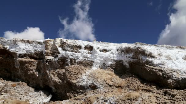 Dead sea salt at Jordan,Middle East — Stock Video