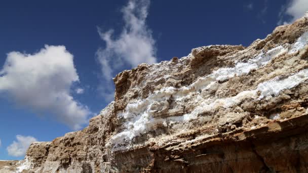 Dead sea salt at Jordan,Middle East — Stock Video