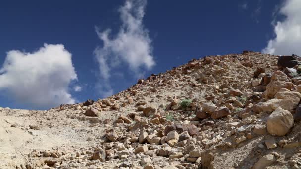 Steinwüste (typische trockene Landschaft), Jordanien, Naher Osten