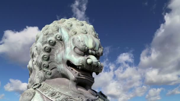 Bronze Guardian Lion Statue in the Forbidden City,Beijing, China — Stock Video