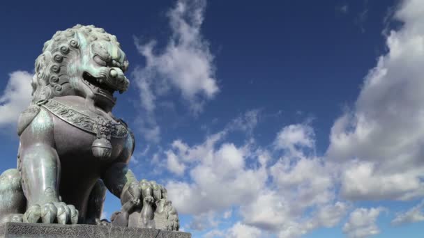 Statue du lion gardien en bronze dans la Cité interdite, Pékin, Chine — Video