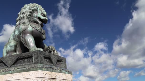 Estátua do Leão Guardião de Bronze na Cidade Proibida, Pequim, China — Vídeo de Stock