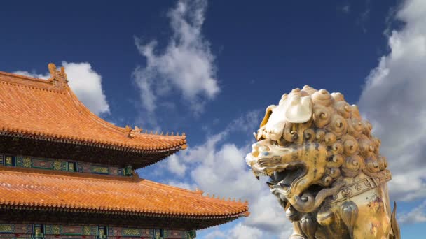 Bronze Chinese dragon statue in the Forbidden City. Beijing,China — Stock Video