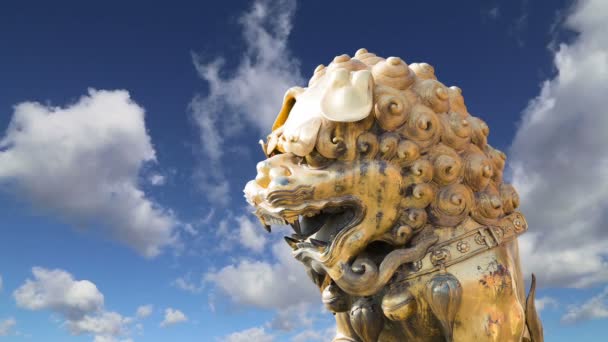 Бронзовий китайський статуя дракона в Заборонене місто. Пекіні, Китай — стокове відео