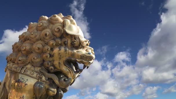Bronzová socha čínského draka v Zakázaném městě. Peking, Čína — Stock video