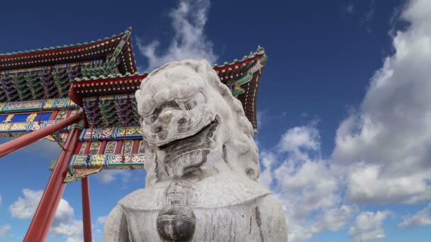 Estátua do Leão Guardião de Pedra no Parque Beihai é um jardim imperial a noroeste da Cidade Proibida em Pequim, China — Vídeo de Stock