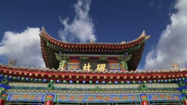 xian (Sian, Xi'an) beilin museum (Stele Forest), established in 1087,the forest of stone tablets in the oldest world renowned stone library and palace of calligraphy art, China