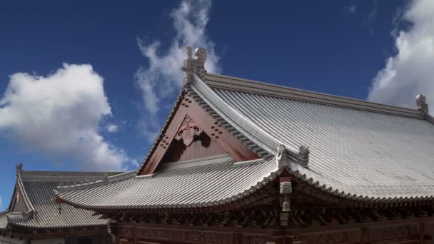 Украшения крыши на территории Giant Wild Goose Pagoda, это буддийская пагода, расположенная в южной части Сианя (Сиань, Сиань), провинция Шэньси, Китай — стоковое видео