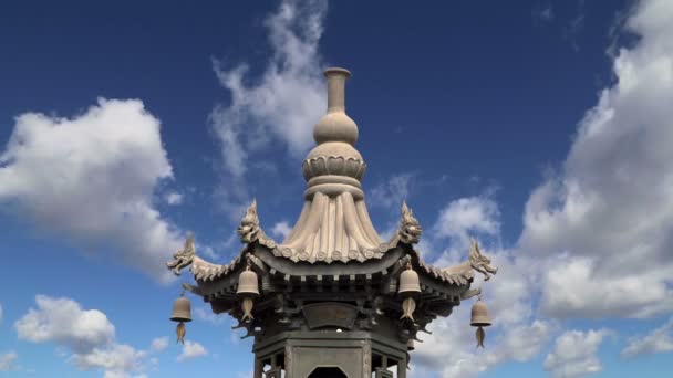 領土ジャイアントワイルドグースパゴダまたはビッグワイルドグースパゴダでは、西安南部(シアン、西安)、Shaanxi省、中国に位置する仏教の塔です。 — ストック動画