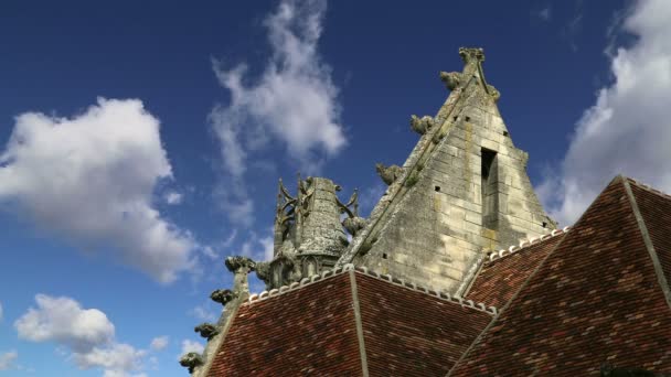 Catedral (Notre Dame) de Senlis, Oise, Picardía, Francia — Vídeo de stock