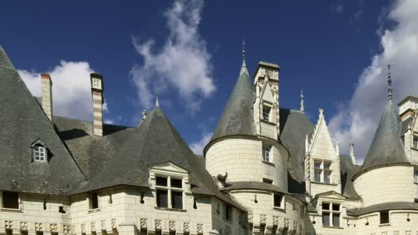 Usse Castle, Loire-vallei, Frankrijk-ook bekend als het kasteel van Sleeping Beauty — Stockvideo