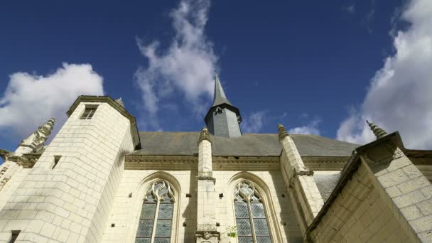 Usse Castle, Loire-vallei, Frankrijk-ook bekend als het kasteel van Sleeping Beauty — Stockvideo