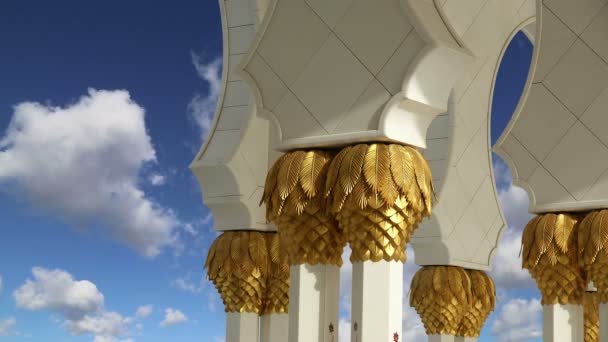 Abu Dhabi Sheikh Zayed Mezquita Blanca, Emiratos Árabes Unidos — Vídeos de Stock