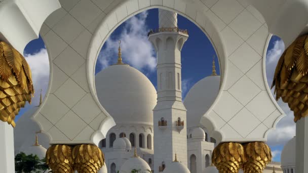 Abu Dhabi Sheikh Zayed Moschea Bianca, Emirati Arabi Uniti — Video Stock