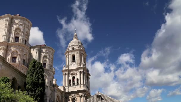 Malaga Katedrali, Endülüs'ün endülüs şehrinde, 1528 ve 1782 yılları arasında inşa edilmiş bir Rönesans kilisesidir Spain.It. — Stok video