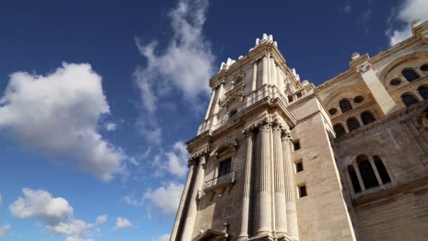 Cattedrale di Malaga è una chiesa rinascimentale nella città di Malaga, Andalusia, Spagna meridionale. Fu costruita tra il 1528 e il 1782 — Video Stock