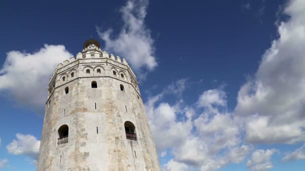 Torre del Oro или Золотая башня (XIII век), средневековая арабская военная додекагональная сторожевая башня в Севилье, Андалусия, Южная Испания — стоковое видео