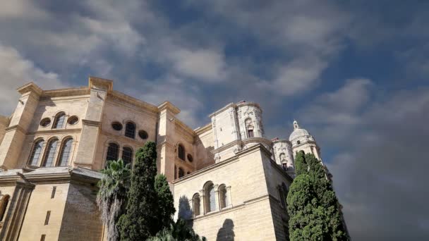 Katedralen i malaga är en renässans kyrka i staden malaga, Andalusien, södra Spanien. — Stockvideo